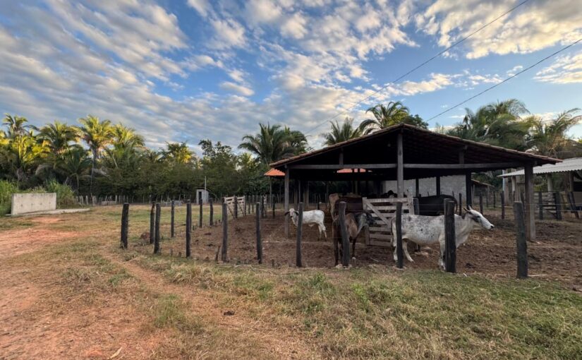 Venda de Fazenda em Timon Maranhão