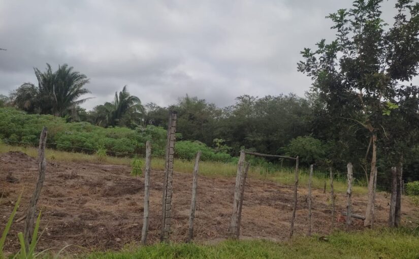 VENDE-SE TERRENO – CAMPO GRANDE | BEIRA DE BR
